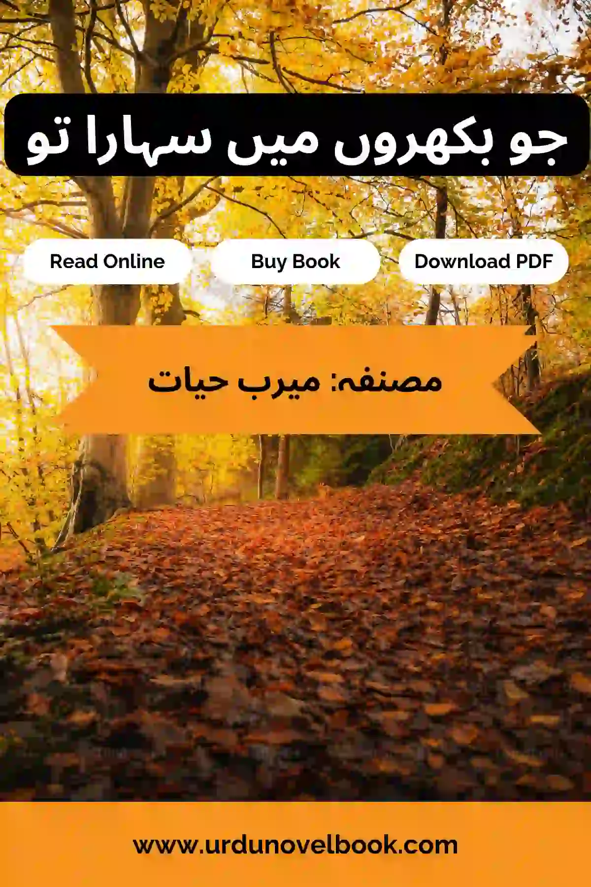 Jo Bikhron Main Sahara Tu Novel By Meerab Hayat